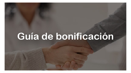 Guía de bonificaciones